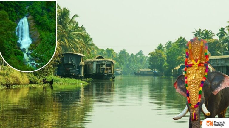 Kerala Grandeur – 7 Nights 8 Days Tour Package