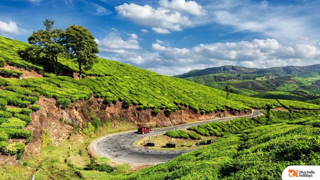 3 Nights 4 Days Kerala Itinerary | Best Kerala Tour Package