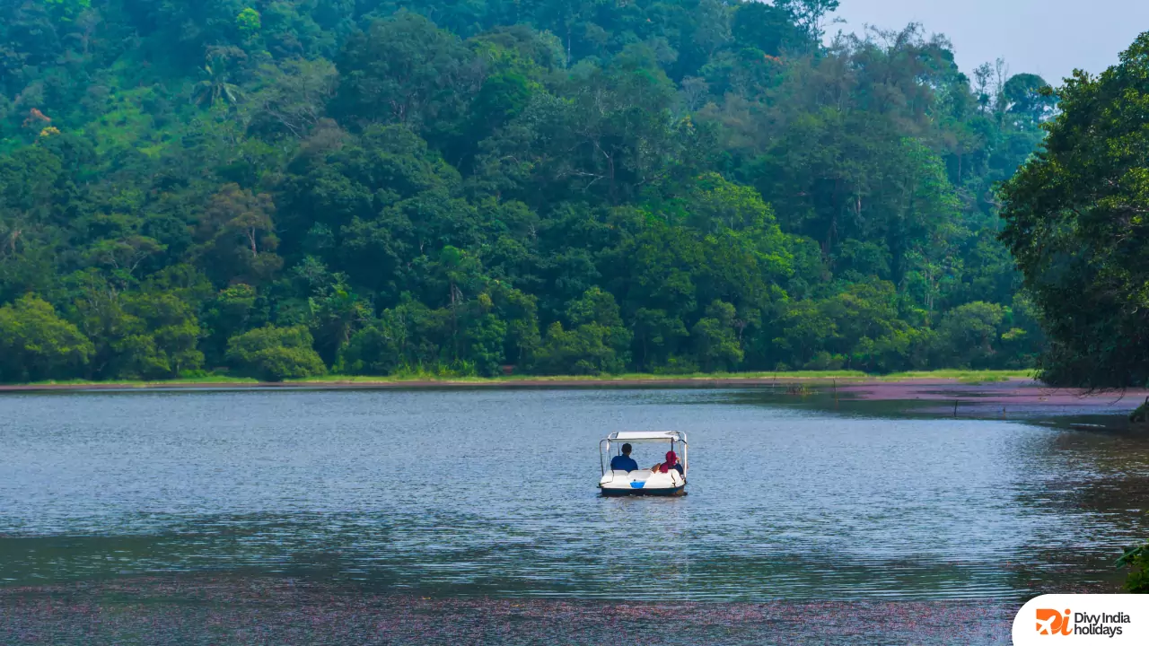 Wayanad boating view