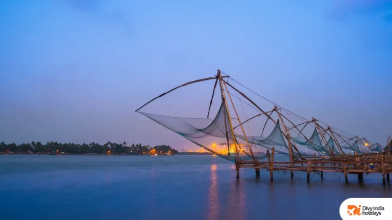 Cochin Alleppey package for 2 nights 3 days
