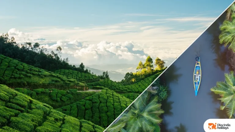 3 Days Munnar Tour Package