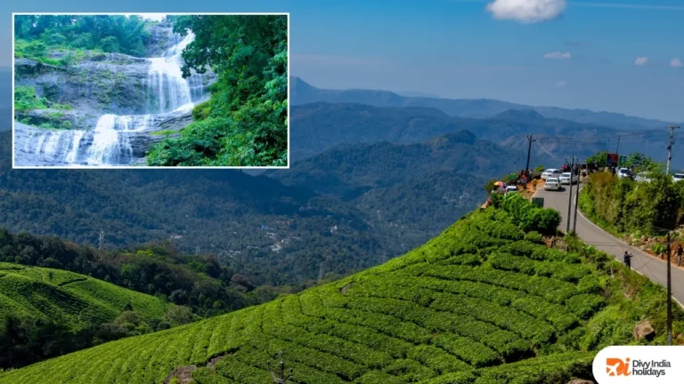 6 Days Kerala Tour Package – Munnar, Thekkady & Alleppey Trip