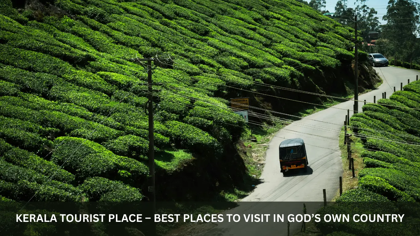 Kerala Tourist Place – Best Places to Visit in God’s Own Country