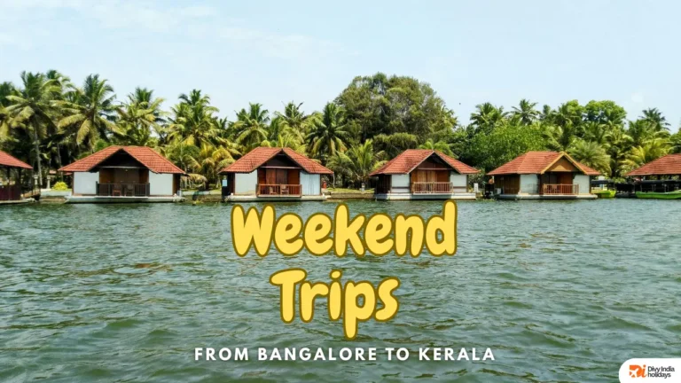 Top 10 Weekend Trips from Bangalore to Kerala for Couples & Families
