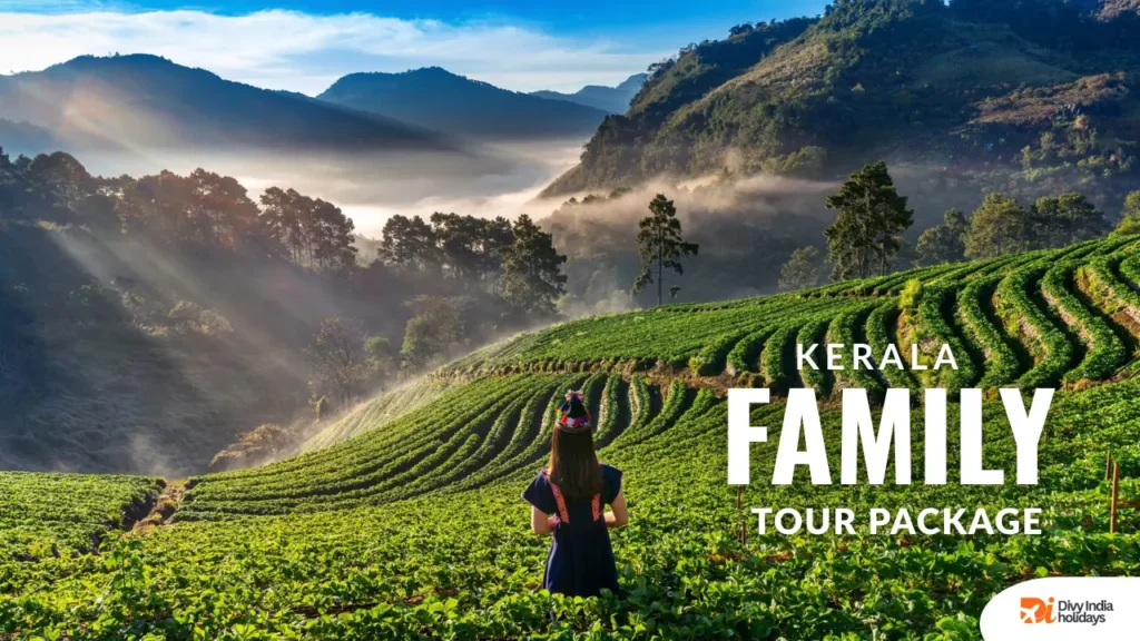 Kerala Family Tour Package 4 Nights 5 Days – Munnar Thekkady Alleppey