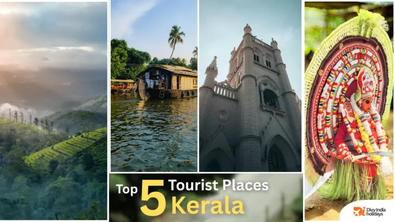 Top 5 Tourist Places in Kerala You Must Visit Once in Life