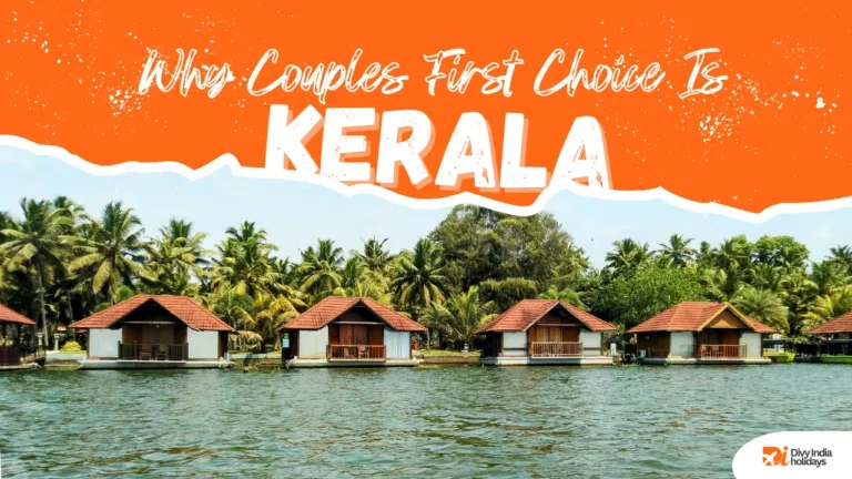 Why Kerala Is the First Choice for Couples & Honeymoon in India