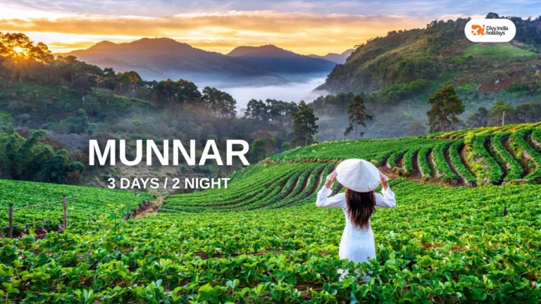 Munnar Tour Packages for 3 Days 2 Night – Perfect Short Kerala Trip