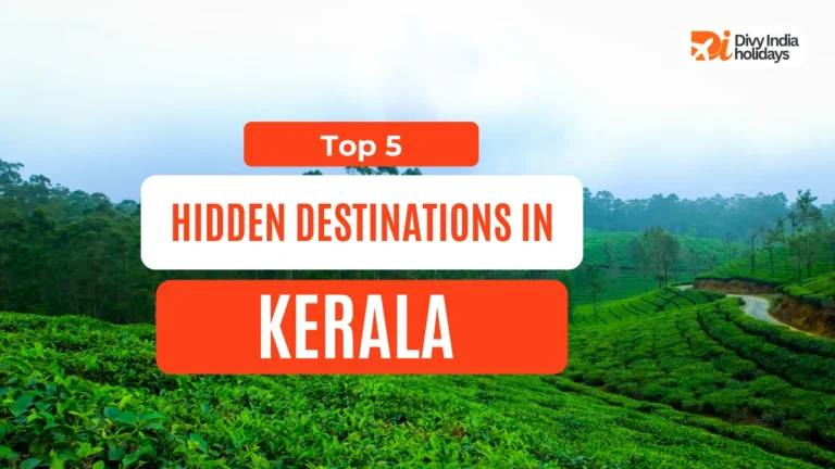 Top 5 Hidden Destinations in Kerala You Should Visit Once