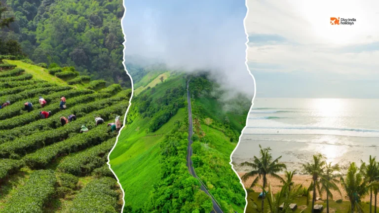 Famous Sunrise Points in Kerala You Must Visit Once in Life