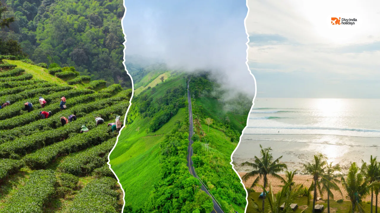 Famous Sunrise Points in Kerala Best Sunrise Spots in Munnar & Wayanad