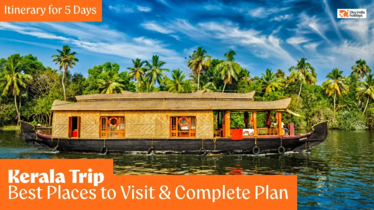 Kerala Trip Itinerary for 5 Days: Best Places to Visit & Complete Plan
